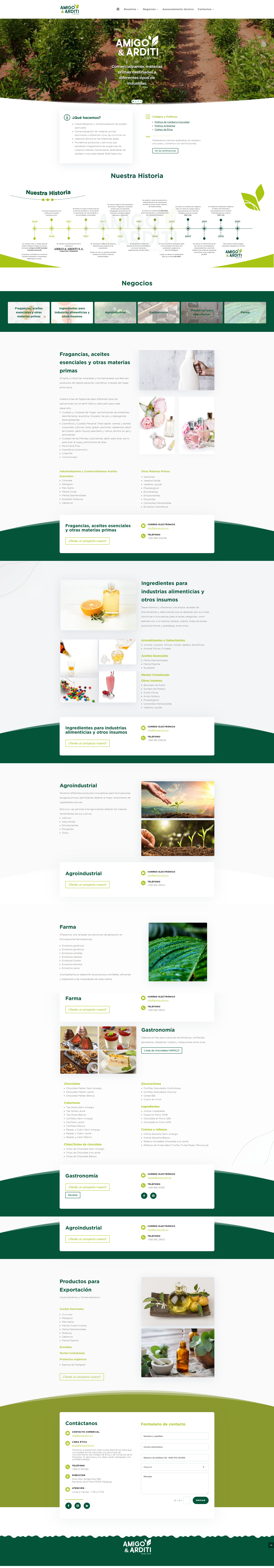 Captura completa del sitio web de Amigo & Arditi