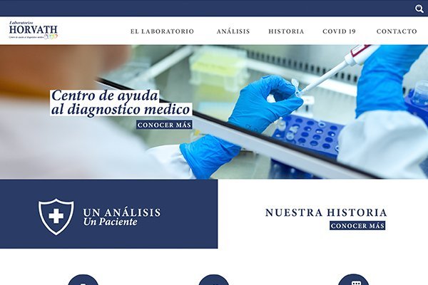 Proyecto Lab HORVATH
